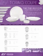 international-tableware-9696w-mug-china-specsheet-251119xv76ys.pdf