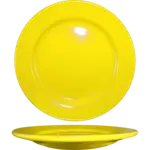 International Tableware CA-21-Y, Plate, China