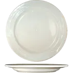 International Tableware NP-21, Plate, China