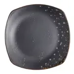 Vertex China LMS-S6, Plate, China