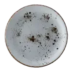 Vertex China LTW-C22, Plate, China